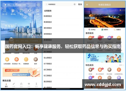 国药官网入口：畅享健康服务，轻松获取药品信息与购买指南