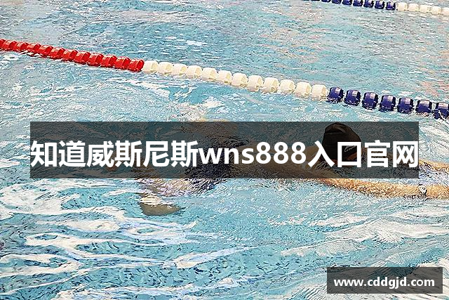 威斯尼斯wns888入口·(中国区)官方网站